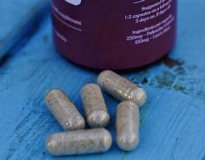 Buy Magic Mushroom Microdose Capsules