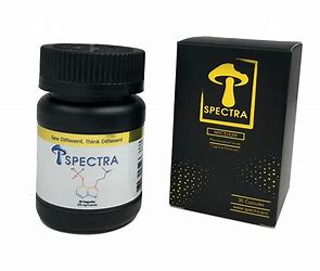 SPECTRA MYCELIUM – Gold 200mg