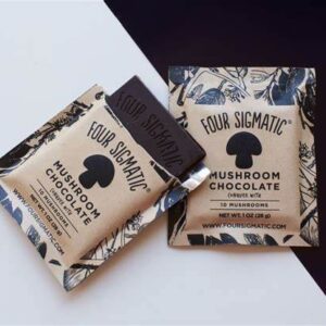 Four Sigmatic hot mushroom chocolate