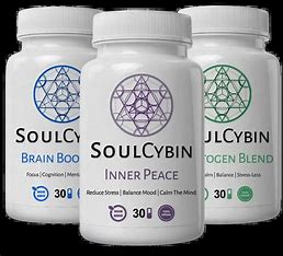 SoulCybin